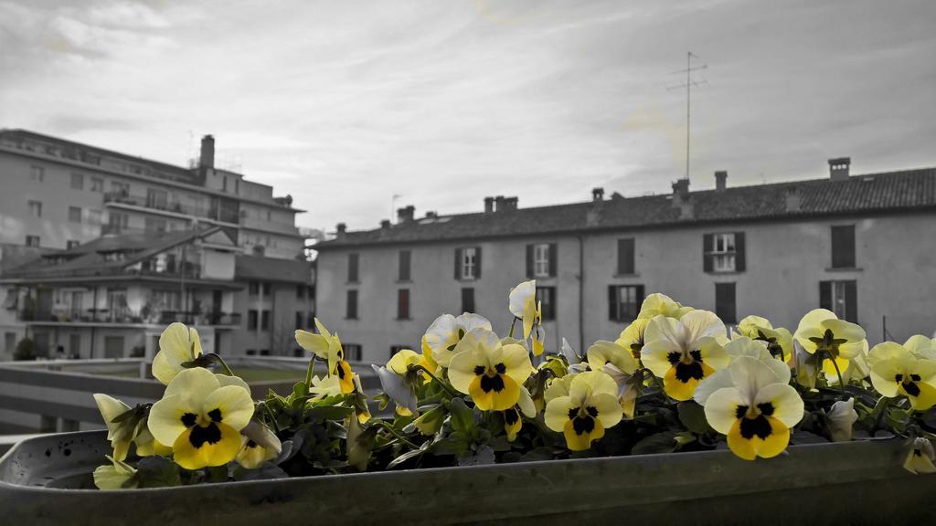 Airport Station Bergamo Hotel Bagian luar foto